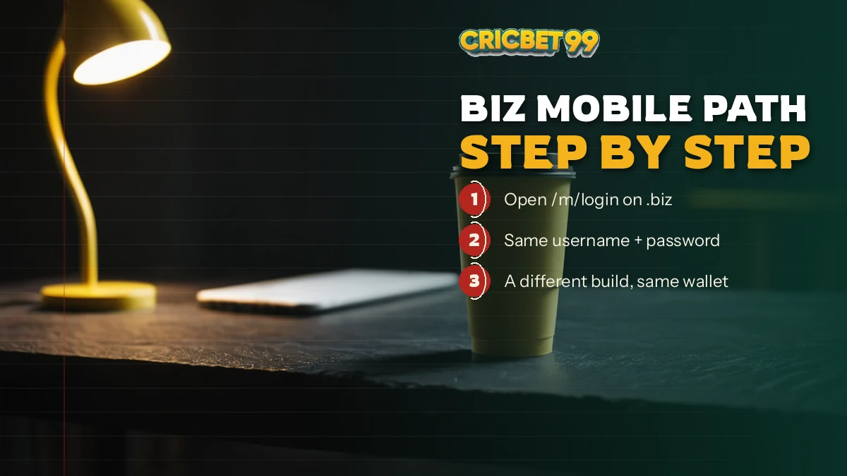 Cricket fan checking the biz sign-in screen on a phone during a match evening