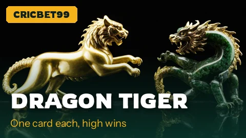 Dragon Tiger cards facing off on the CricBet99 casino shelf
