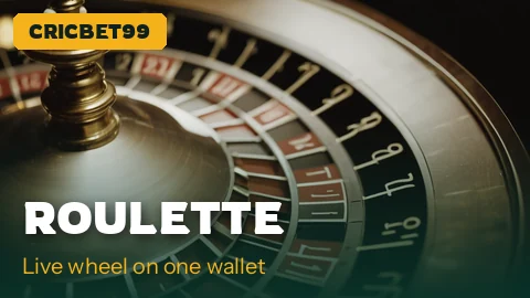 Roulette wheel spinning on the same CricBet99 INR balance